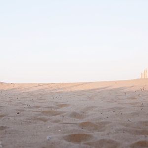 Meet your Posher, Ariana